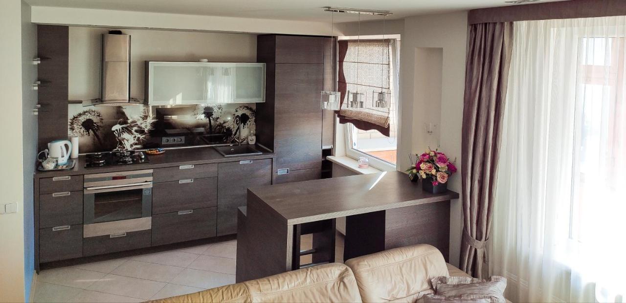 Nikoletos Apartamentai Panevėžys Extérieur photo