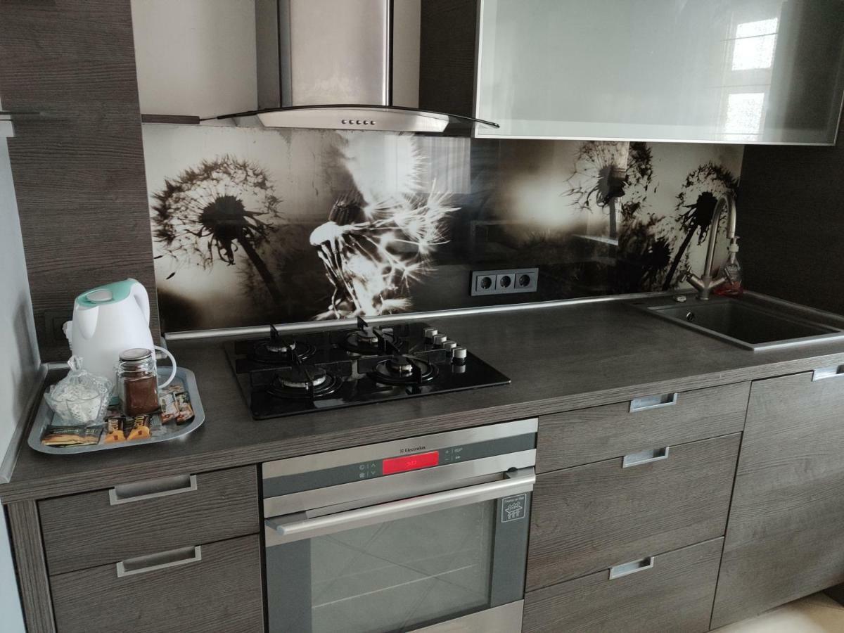 Nikoletos Apartamentai Panevėžys Extérieur photo