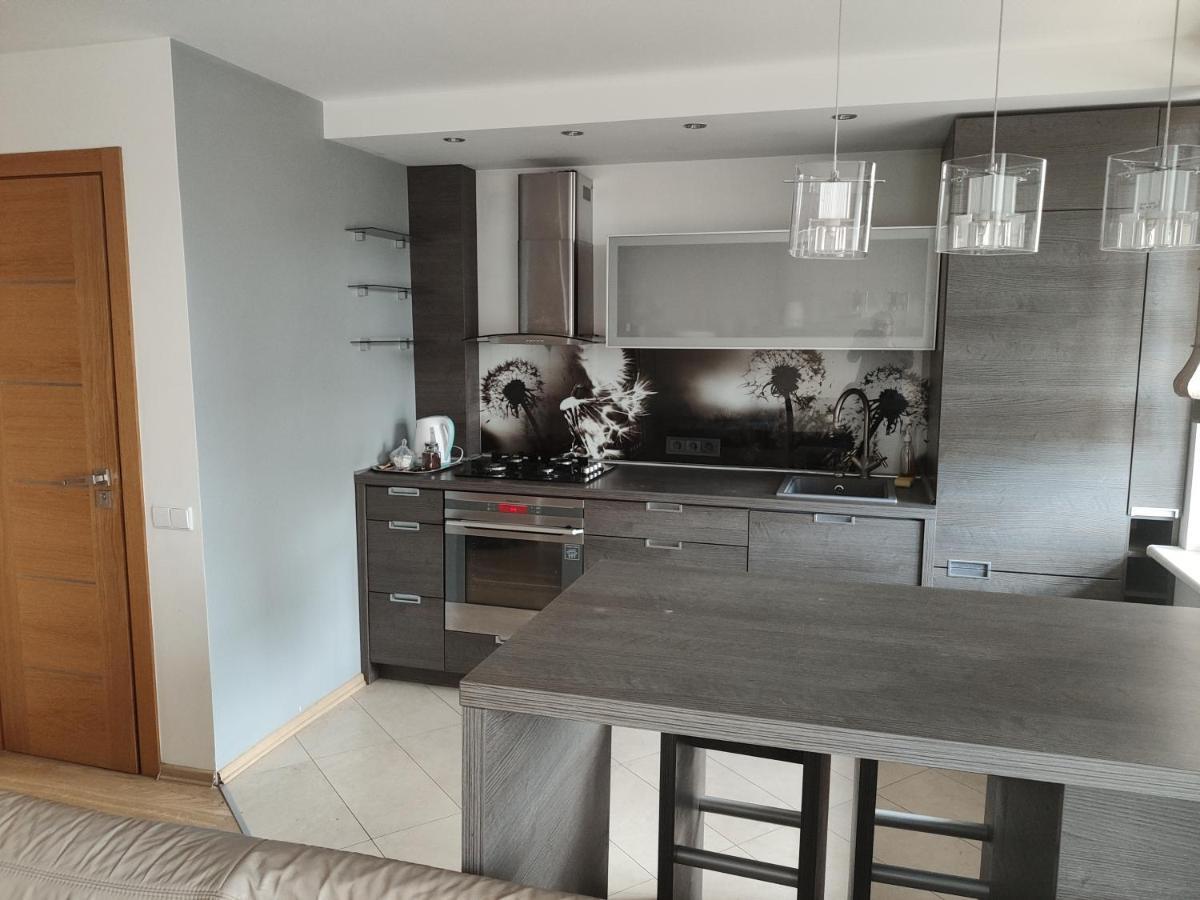 Nikoletos Apartamentai Panevėžys Extérieur photo
